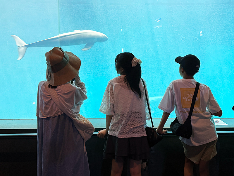 家族旅行 鳥羽水族館